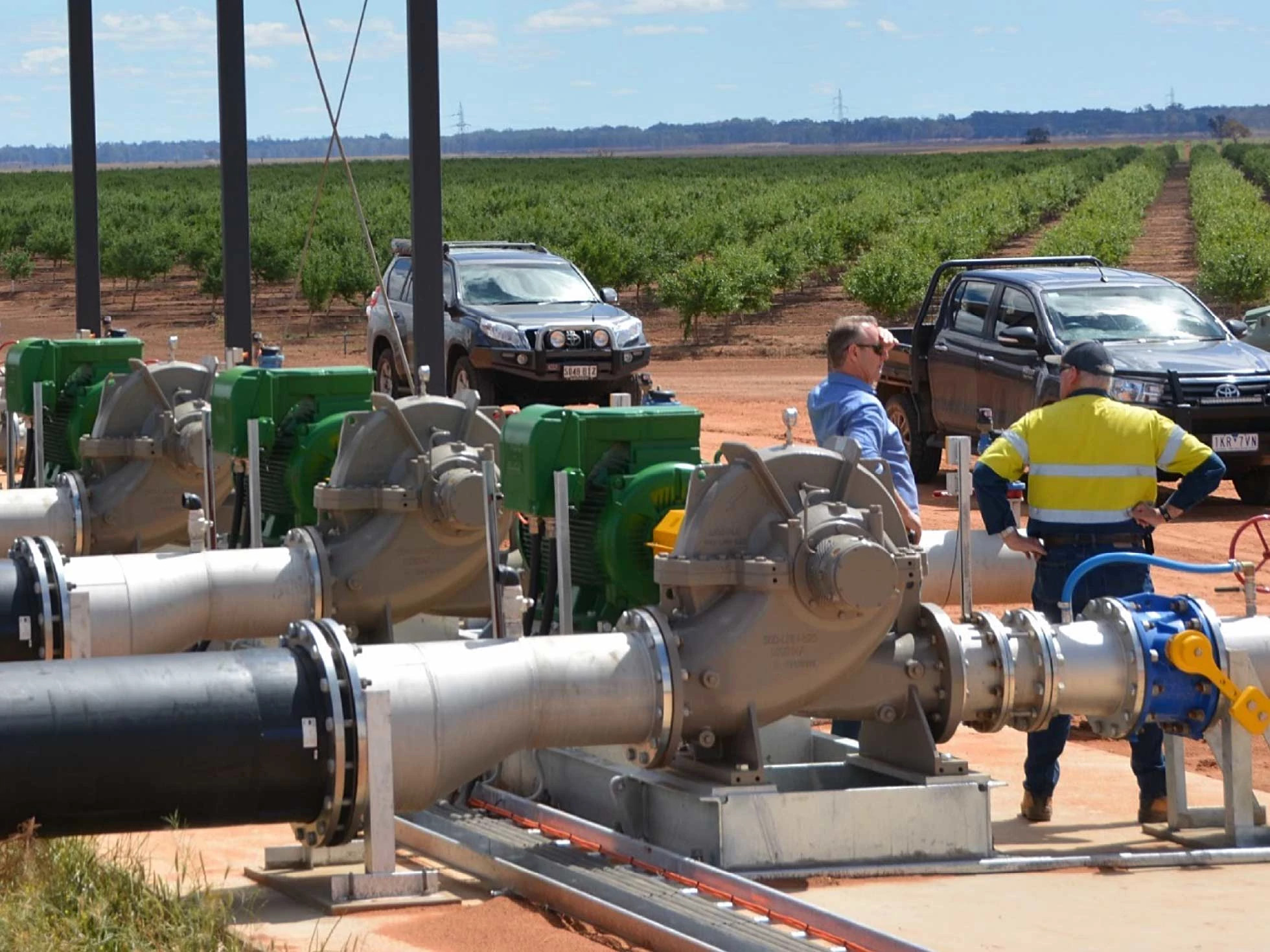 australia-almond-farms-lnn-closeup