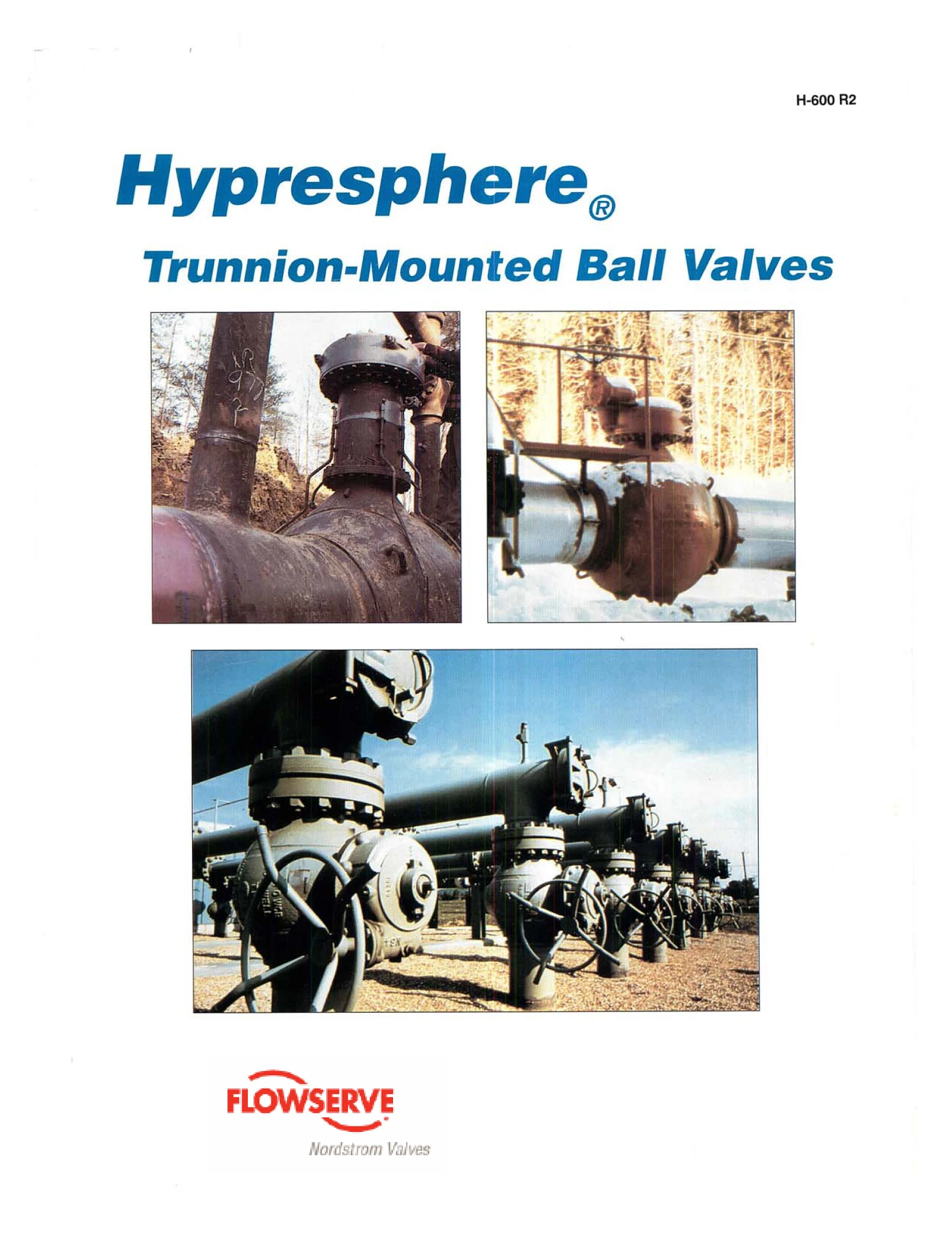 Nordstrom Hypresphere®固定式球阀手册